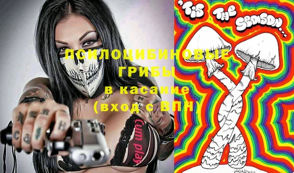 прущие крисы Абаза
