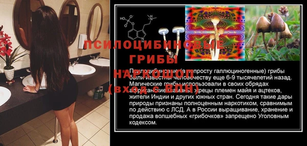 mdma Осинники
