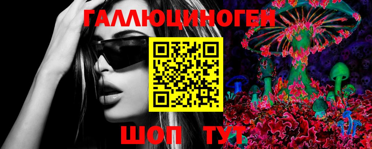 Галлюциногенные грибы Psilocybe Каменск-Шахтинский