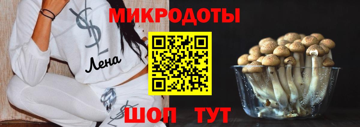 Каменск-Шахтинский  Псилоцибиновые грибы Magic Shrooms  Вход с VPN 