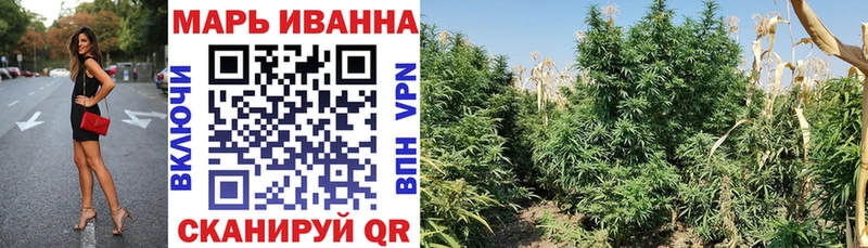 как найти наркотики  Каменск-Шахтинский  это телеграм  Бошки Шишки Amnesia 